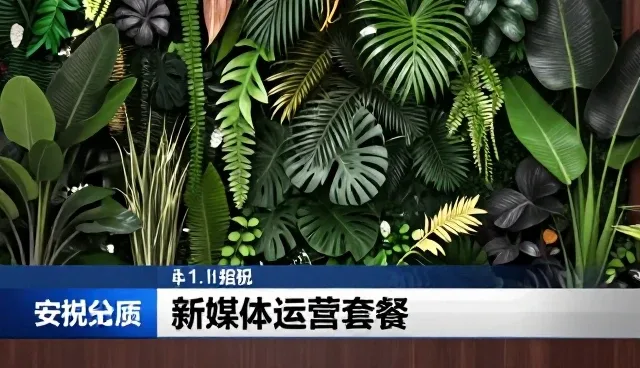 用户互动驱动账号代运营业务持续升级